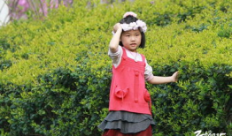 麻豆烦,揭秘网红经济背后的焦虑与挑战